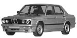 BMW E28 P2490 Fault Code